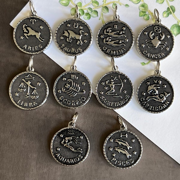 1pc Stainless Steel Zodiac Necklace Pendant Charm-Astrology Zodiac Symbol Charms-Round Coin Pendant for Horoscope Necklace