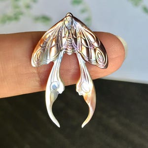 Amuleto de polilla tallada en nácar negro con colas largas