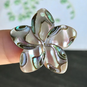 Peut inclure: Pendentif en forme de fleur nacrée, aux reflets irisés verts, bleus et bruns. Le pendentif, probablement en nacre, est percé d'un trou pour l'enfilage. Les pétales présentent une finition polie.