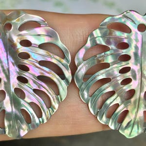 May include: Two iridescent mother-of-pearl charms shaped like monstera leaves. Each leaf features a central vein and multiple cut-out oval slots throughout the surface. A small circular hole is positioned at the top of each leaf for attachment.
