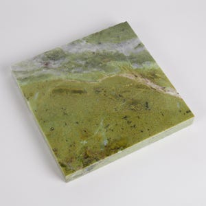 Può includere: Una lastra di pietra quadrata e lucidata, con un motivo naturale di verde e bianco. La superficie mostra un mix di tonalità verdi chiare e scure, con venature bianche. I bordi sono dritti e ben definiti.