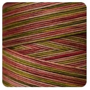 May include: A spool of multi-colored embroidery floss with shades of green, pink, and red.