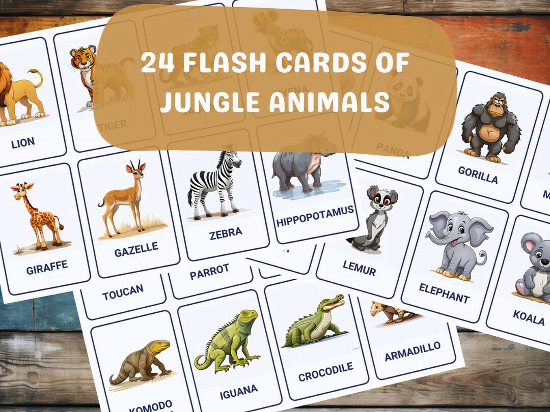 Jungle Animals 24 Montessori Flash Cards Nomenclature Etsy