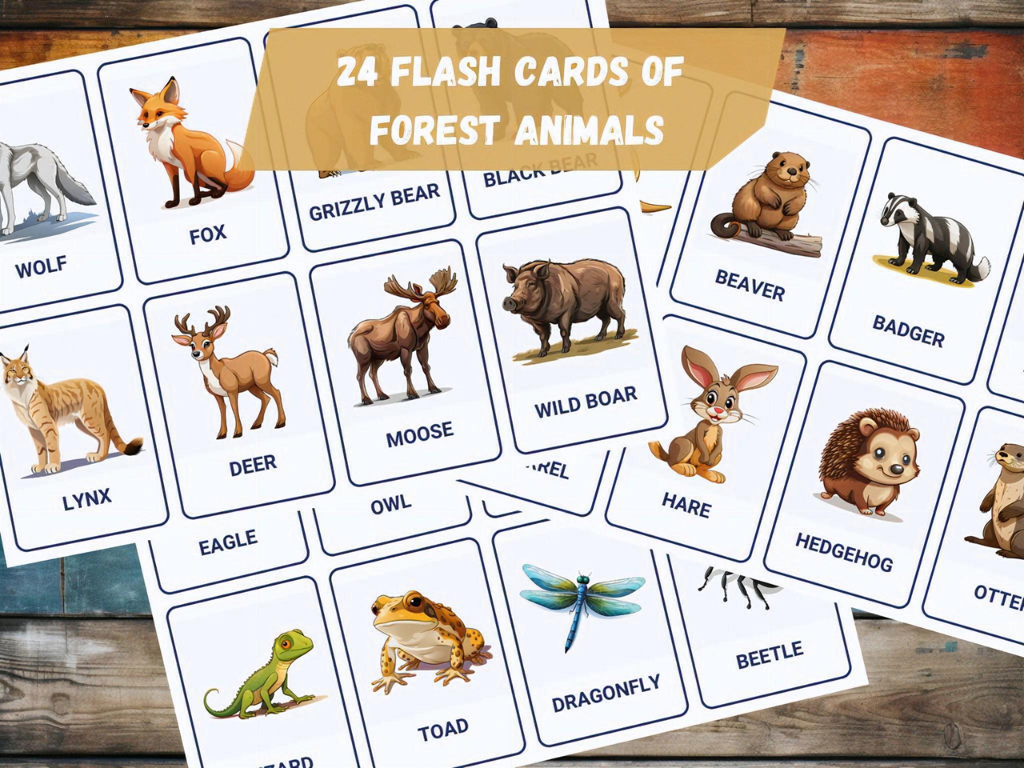 Forest and Jungle Animals 48 Montessori Flash Cards 3 Part Nomenclature ...