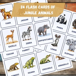Forest and Jungle Animals 48 Montessori Flash Cards 3 Part Nomenclature ...
