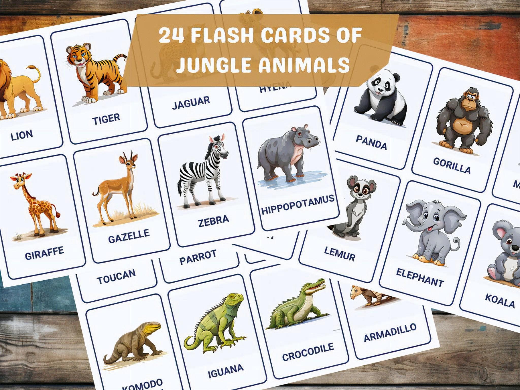 Animals 72 Montessori Flash Cards of Forest, Jungle, and Farm Animals 3 ...