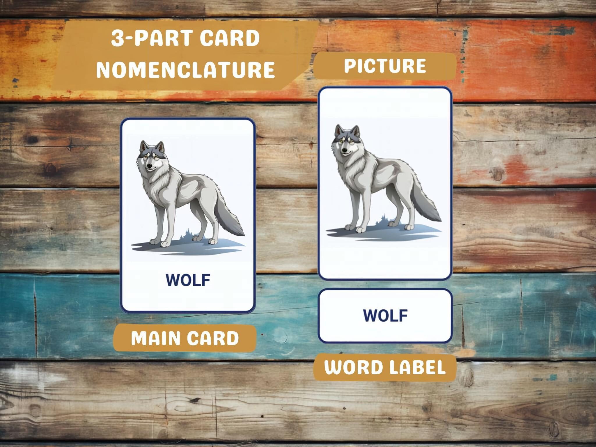 Animals 72 Montessori Flash Cards of Forest, Jungle, and Farm Animals 3 ...