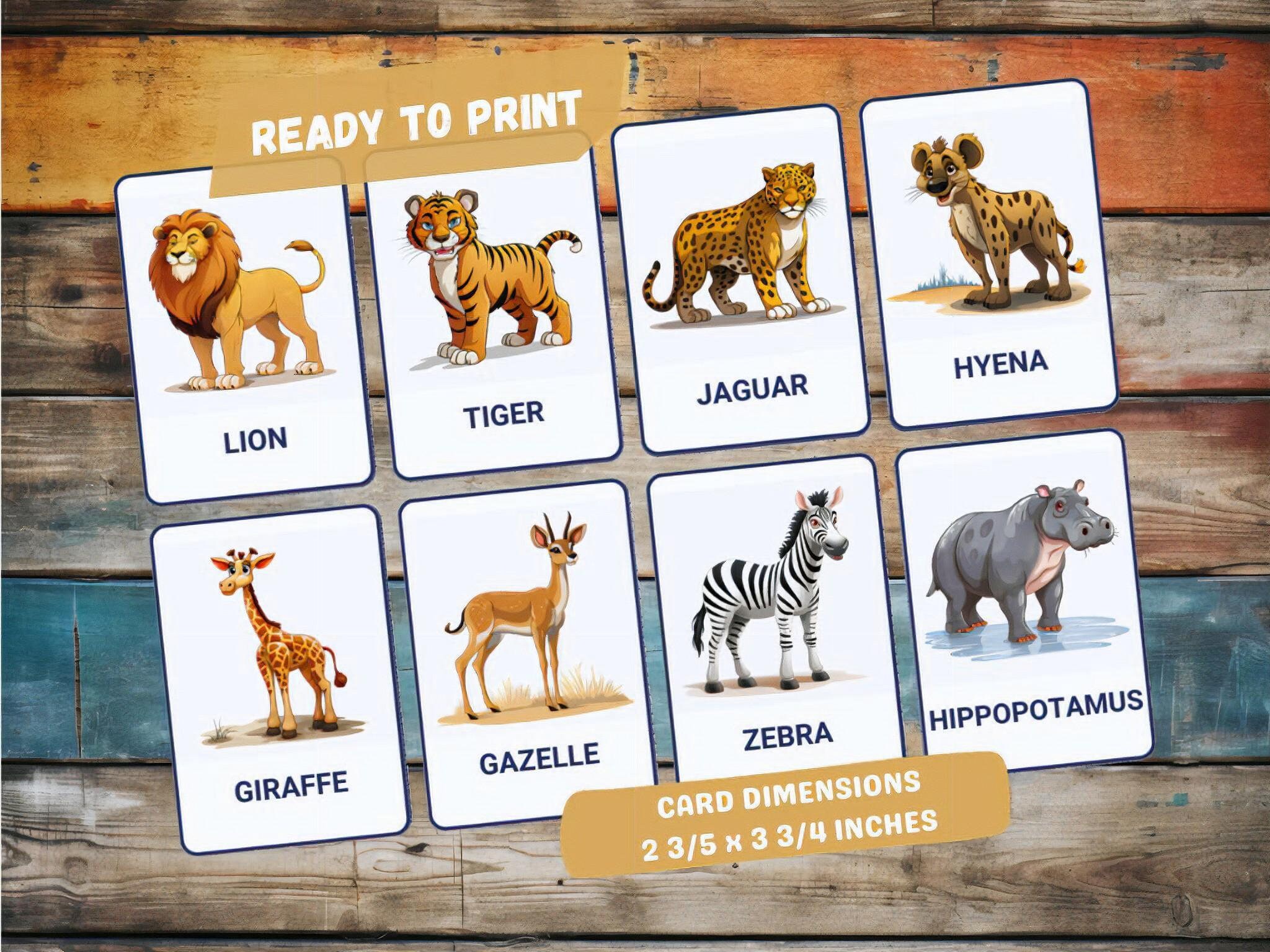 Jungle Animals 24 Montessori Flash Cards Nomenclature Etsy