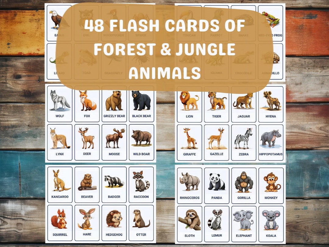 Forest and Jungle Animals 48 Montessori Flash Cards 3 Part Nomenclature