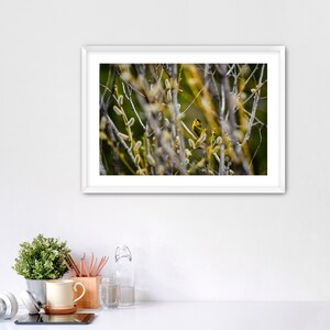 Vibrant Canary - Framed Photography, Wall Art, Home Decor, Wildlife Photography