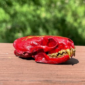 Real painted mink skull, red and gold lightning image 2