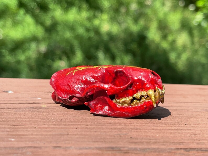 Real painted mink skull, red and gold lightning image 2