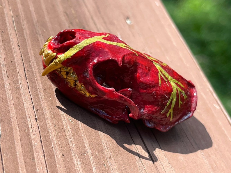 Real painted mink skull, red and gold lightning image 3