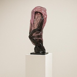 The Veiled Souls