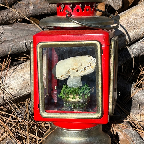 Vintage Red & Gold Lantern with Real Mink Skull