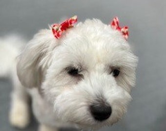 Tiny hair 1.5 inch bows for dogs with rubber band connect