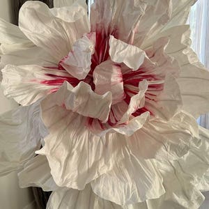 May include: A large white paper flower with red and pink accents. The flower is made of multiple layers of paper and has a ruffled texture.