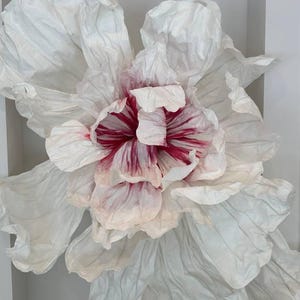 May include: A large white paper flower with pink and red stripes in the center.