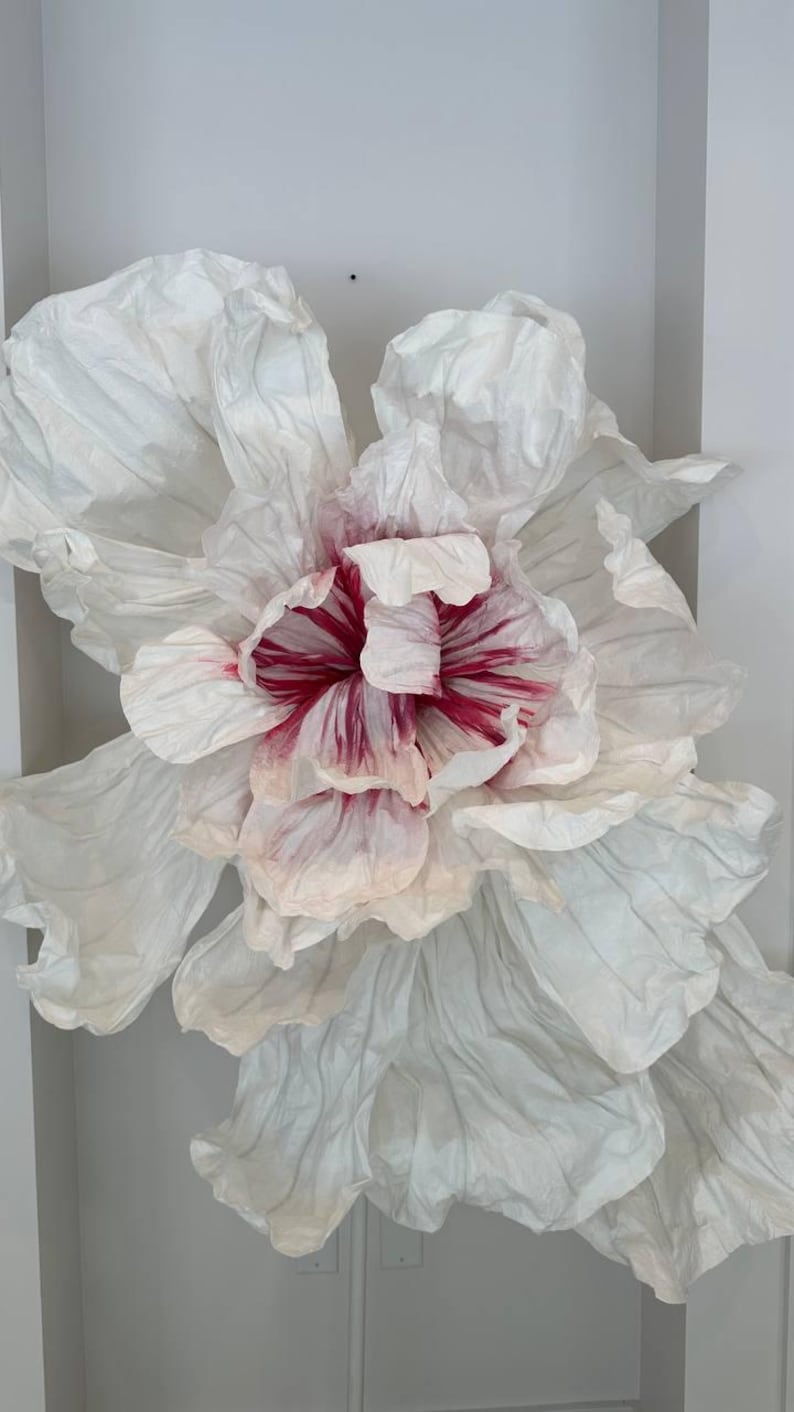 May include: A large white paper flower with pink and red stripes in the center.