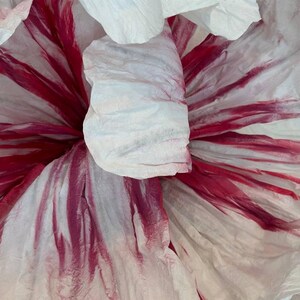 May include: Close-up of a white paper flower with pink and red stripes. The flower is made of multiple layers of paper, creating a textured and delicate appearance.