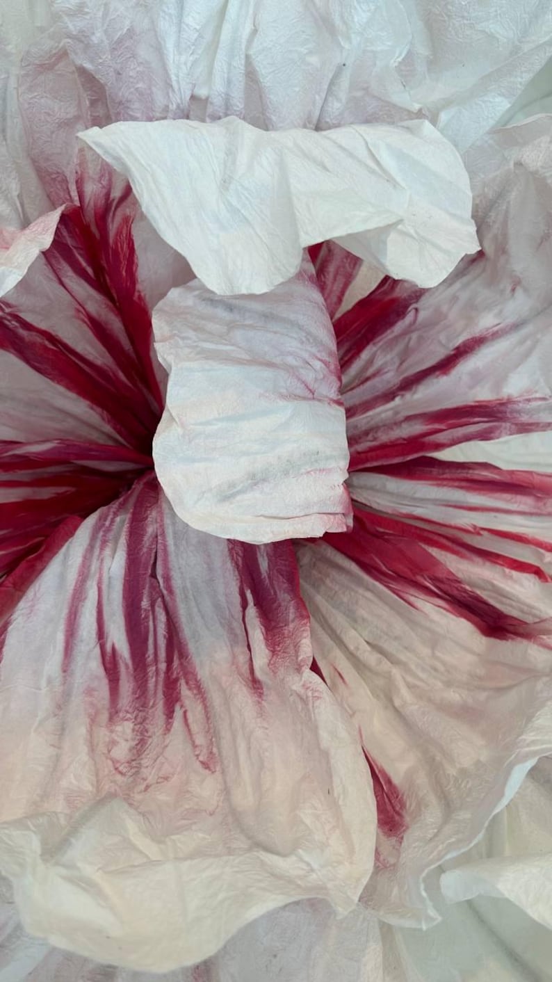 May include: Close-up of a white paper flower with pink and red stripes. The flower is made of multiple layers of paper, creating a textured and delicate appearance.