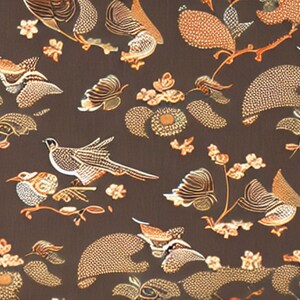 birds