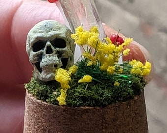 Miniatuur mystieke schedel in een potdecoratie. Handgemaakt Diorama, Schedel, Paddestoelen, Kwartskristal en bloemen in een fles.