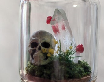 Miniature Mystical Skull in a Jar Decoration.  Handmade Diorama, Skull, Mushrooms, Quartz Crystal and flowers in a Bottle.