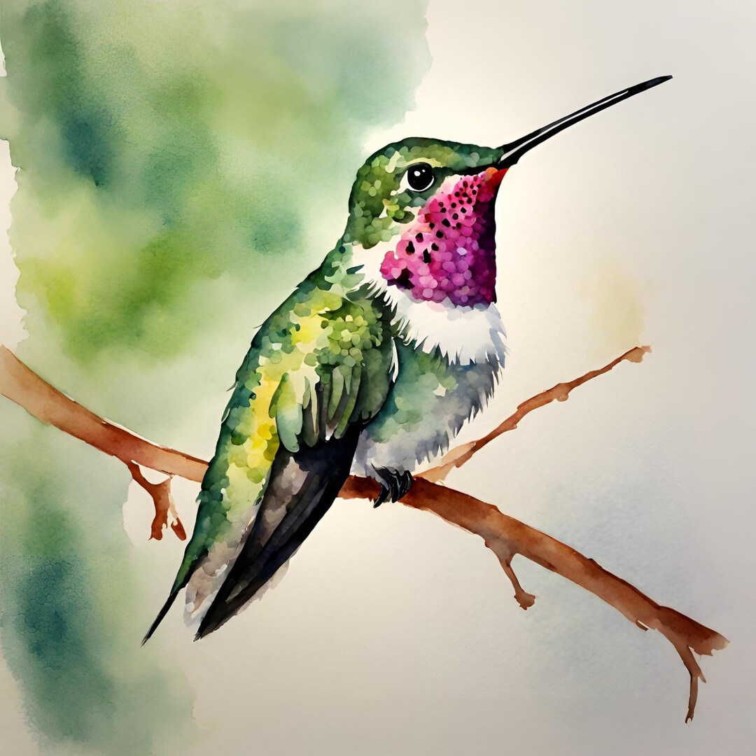 10 High Quality Prints, JPG File, Digital Printable, Hummingbird ...
