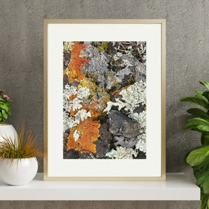 Moos und Flechte Wand Kunst Texturierte Aquarell Poster Matt