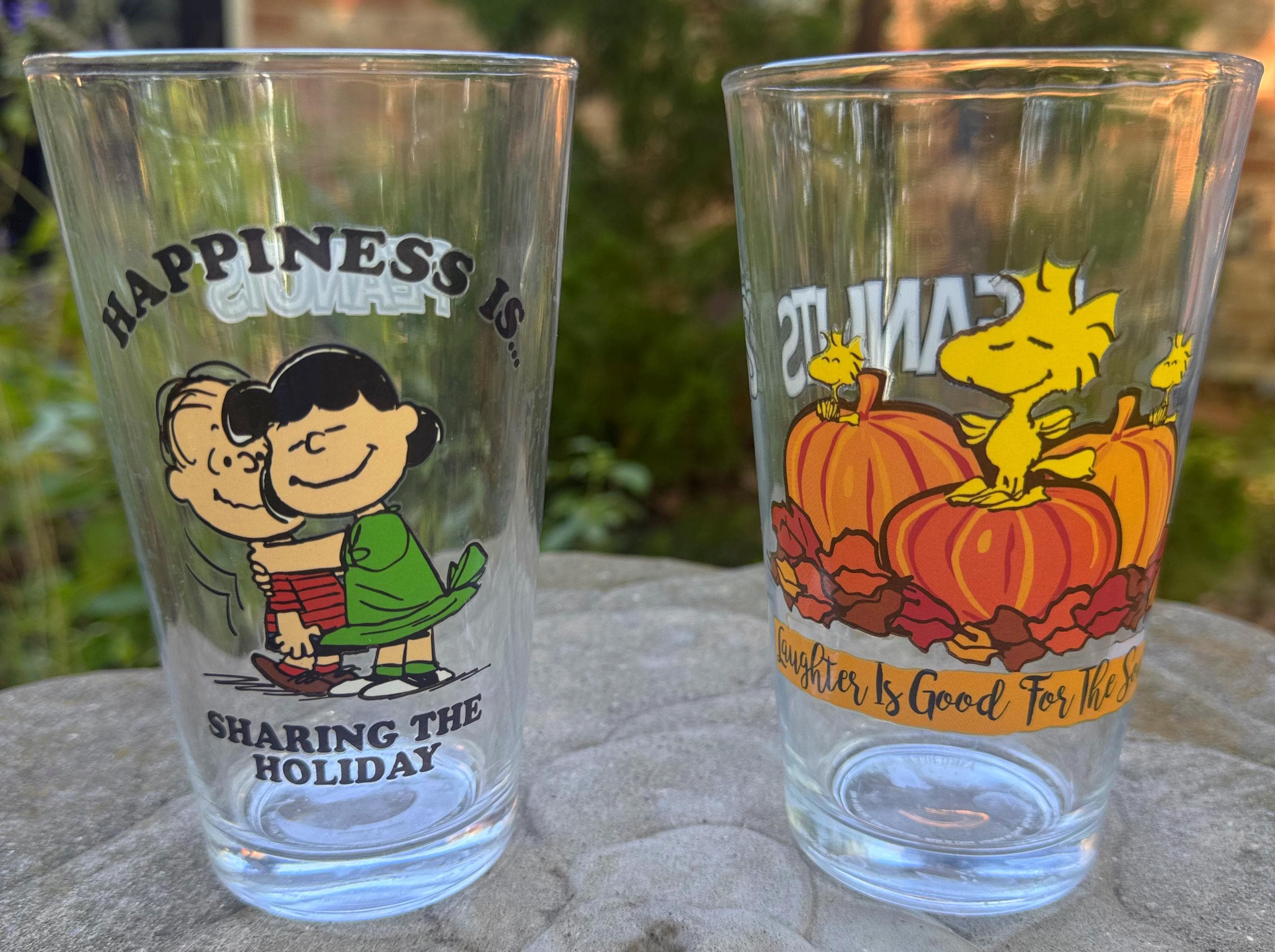 Vintage Peanuts Holiday Glass Set – 2-piece Thanksgiving