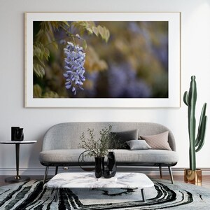 Beautiful purple Wisteria, floral wall art for digital download, various sizes available, unique & high quality floral images for your home