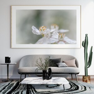 Bright white blossom wall art for digital download, various sizes available, unique & high quality