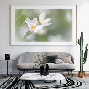 Bright white blossom wall art for digital download, various sizes available, unique & high quality