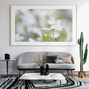 Bright white blossom wall art for digital download, various sizes available, unique & high quality