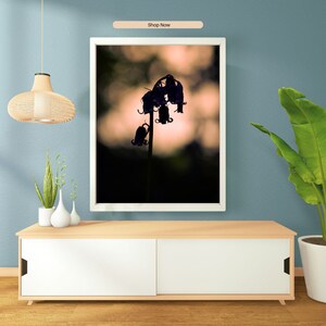 Bluebell flower silhouette wall art for digital download, various sizes available, unique & high quality