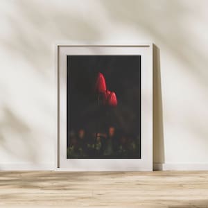 Moody red tulips, floral wall art for digital download, various sizes available, unique & high quality