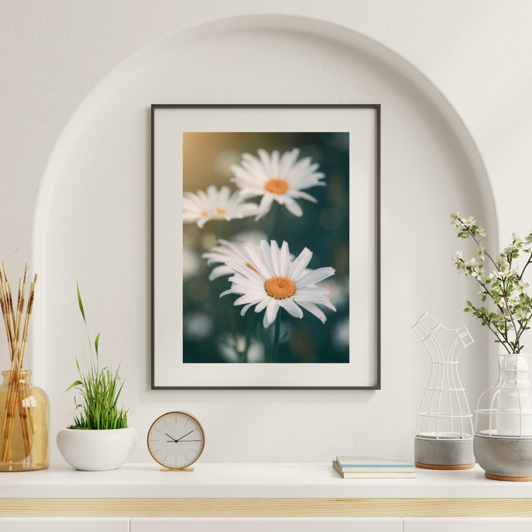 Daisy Flower Wall Art for Digital Download 300DPI Various Sizes ...