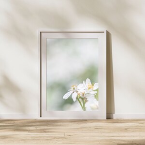 Bright white blossom wall art for digital download, various sizes available, unique & high quality