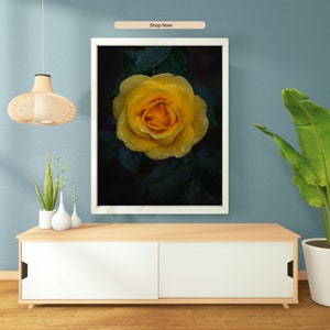 Yellow Rose with raindrops, floral wall art for digital download, various sizes available, unique & high quality