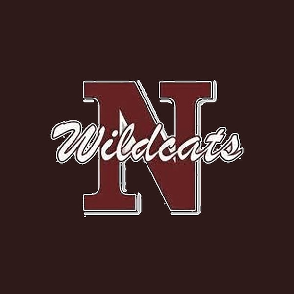 Newark Wildcats Logo Blanket, Newark Ohio, Football Blanket, Stadium Blanket, Wildcats, Minky Blanket, Sherpa Blanket, Ohio Sports