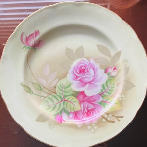 May include: A vintage porcelain plate with a delicate floral design. The plate features a cluster of pink roses with green leaves and stems on a pale yellow background.