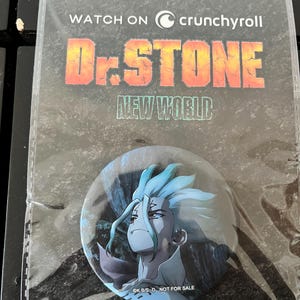 DR stone Pin