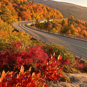 Autumn Sunrise on the Viaduct