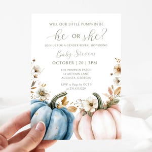 Little Pumpkin Gender Reveal Invite Template, Pumpkin Gender Reveal Digital, Boy or Girl, He or ...
