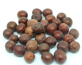 Nbeg - Izgarn, نبق, Jujube, jujube, sedra - 100g - Sidr, zizyphus lotus, nbegue - Fruit du Maghreb