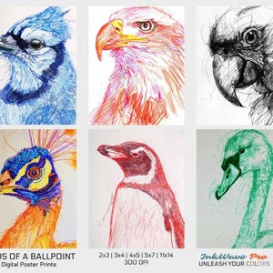 Digital Wall Prints BUNDLE 6 Set PRINTABLE Wall Art Doodle Handrawn Bird Digital Art Variety Posters &quot;Birds of a Ballpoint&quot;