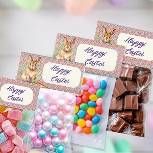 Easter Bunny Treat Bag Toppers: Personalized Favor Tags (Digital Download)