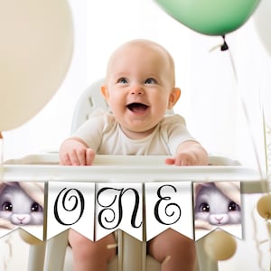 Erster Geburtstag Hase Hochstuhl Girlande: Cake Smashing Dekor (Digitaler Download) SB01