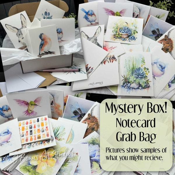 20+ Notecard Mystery Box Assortment of Stationary Note Cards with Envelopes, Variety Grab Bag, Seconds, Slight Misprints and Discontinued